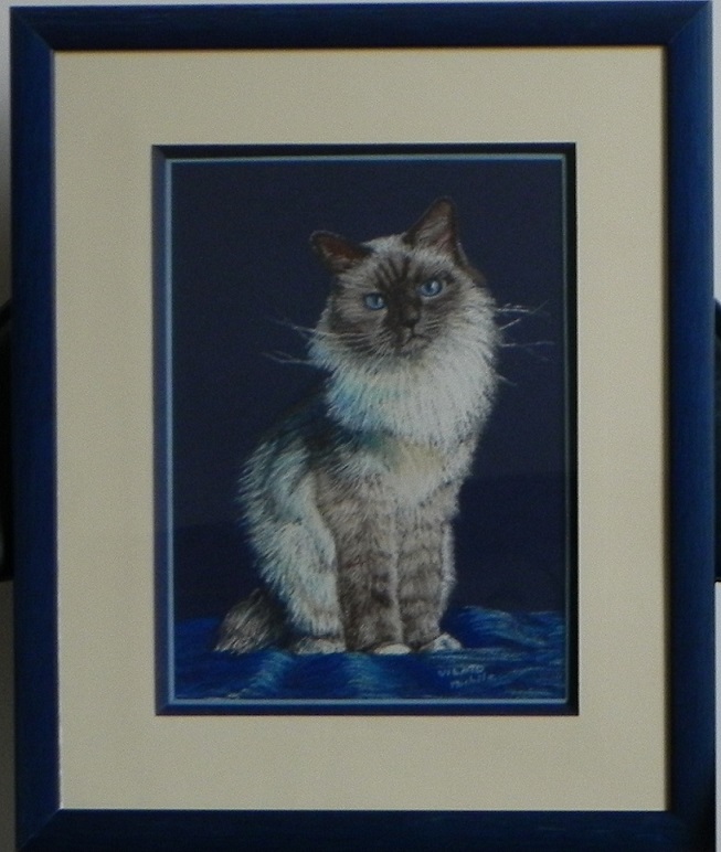 chat-sacre-de-birmanie-pastel-papier-encadre