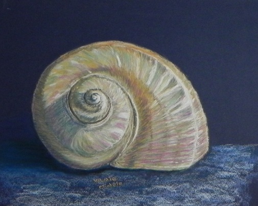 Coquillage escargot-pastel-papel-(33x25)