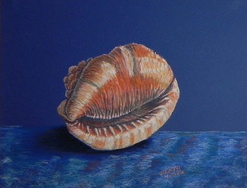 Coquillage-pastel-papier-(31x24)