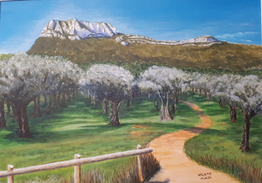 peinture oliveraie-du-coudon-la-farlede-toulon-peinture-acrylique